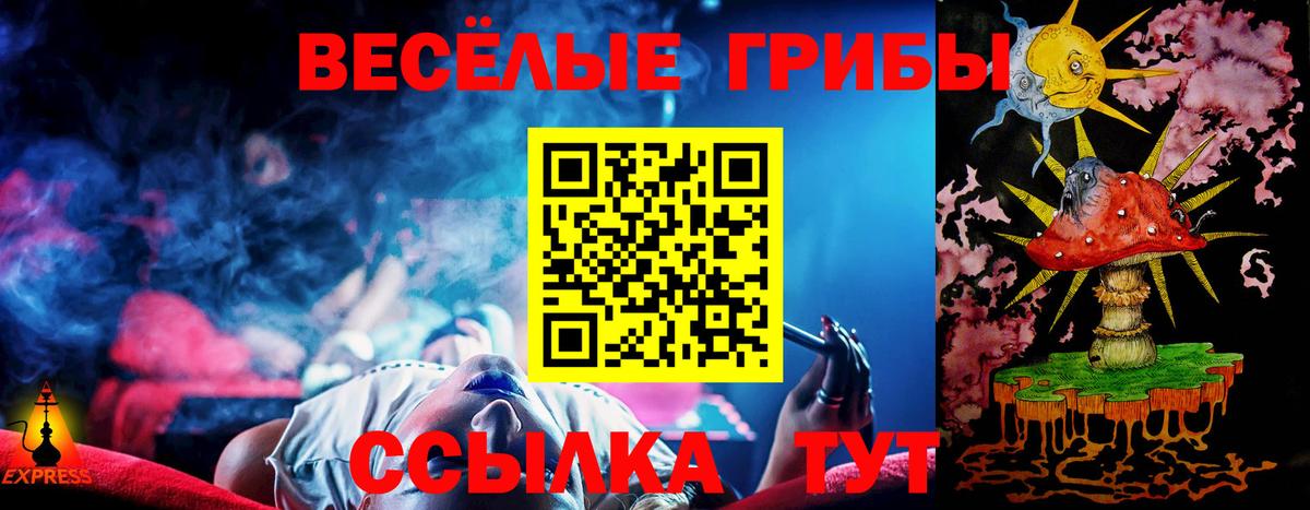 Черняховск  Псилоцибиновые грибы Magic Shrooms  Галлюциногенные грибы Psilocybe  Вход с VPN 